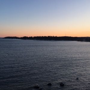 Meet your Posher, Lucy